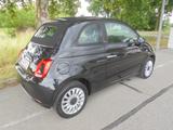 Fiat 500"Lounge-Cabrio" TOP-ZUSTAND EZ:2021 !! - mit Hybrid-Antrieb: Roadster