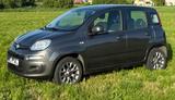 Fiat New Panda 1.2 8V LOUNGE - scheckheftgepflegte Fiat New Panda