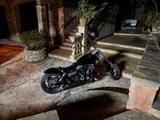 Harley-Davidson FXDB Dyna Street Bob - Angebote