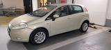 Fiat fiat punto 1.4 6 gang - Fiat Punto in Wiesbaden
