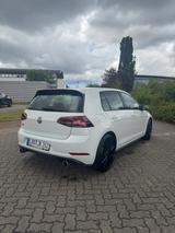 Volkswagen Golf GTI 2.0 TSI (245 PS) Performance SHZ+NAVI+ - Volkswagen Golf: 24