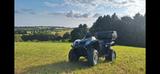 Kymco MXU 250 - QUAD VON 126 BIS 250 CCM