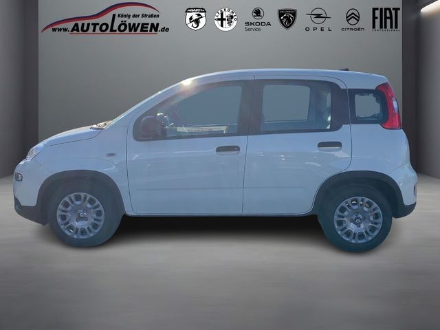 Fiat Panda 1.0 Mild Hybrid Pandina Cross (EURO 6e)