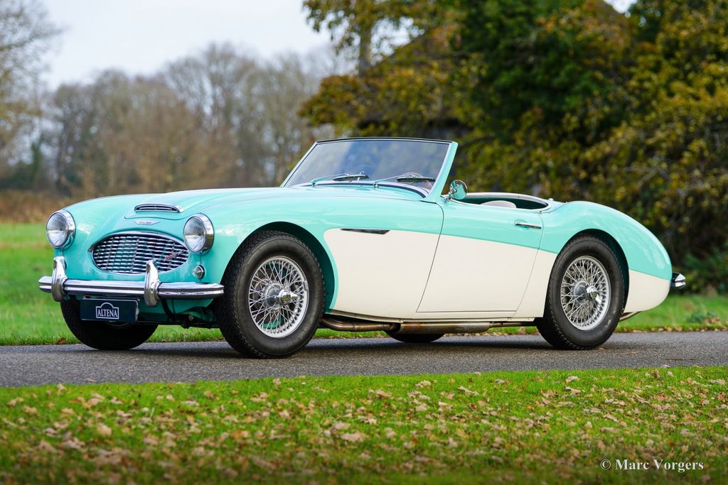 Austin Healey Andere