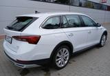 Skoda Octavia Combi Scout 4x4 - Skoda: Combi Scout