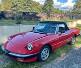 Alfa Romeo Spider 1.6  - gebrauchte Alfa Romeo Spider aus dem Jahr 1985