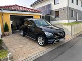 Mercedes-Benz Mercedes w 166  ML350 Edition 1 - Mercedes-Benz ML 350 in Wuppertal