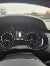 Skoda Octavia 2.0 TDI Green tec DSG RS Combi RS - Skoda Octavia: Grün