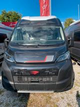 Roller Team Rollerteam Livingstone 7 ACTIVE