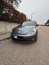 Volkswagen Beetle 1.2 TSI BMT CUP Cabriolet CUP - Volkswagen Beetle: Cup