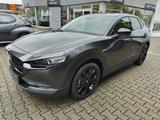 Mazda CX-30 2.0L e-SKYACTIV X FWD Nagisa - Mazda CX-30 mit Hybrid-Antrieb: Nagisa