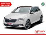 Skoda Fabia 1.0 TSI Drive Best of LED Navi ACC DAB PDC - Skoda Fabia: Weiß