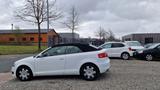 Audi A3 Cabriolet 1.9 TDI Attraction -KLIMA*NAVI*TÜV- - Audi A3 aus 2009: TDI