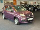 Fiat Panda Pop*KLIMA*ZV*ELEKTRISCHE FENSTER* - Fiat Panda aus 2014