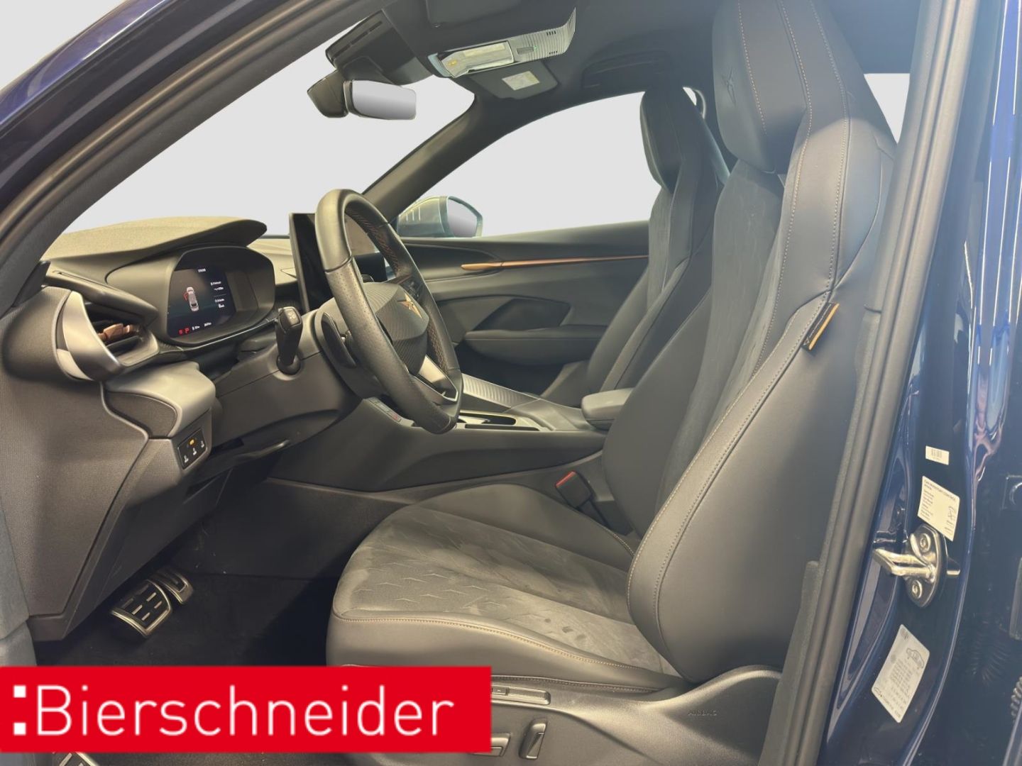 Cupra Terramar - Bild 13