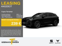Cupra Terramar - Vorschau Bild 1