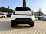 Fiat Grande Panda 1.2 eDCT Business Edition Icon LED - Fiat Neuwagen