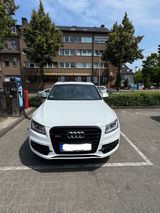 Audi SQ5 3.0 TDI competition tiptronic quattro - - Audi SQ5 in Essen