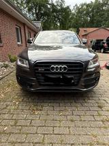 Audi SQ5 3.0 TDI comp. tiptr. quattro - - Audi SQ5 in Oldenburg