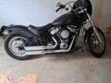 Harley-Davidson FXST Softail Standard - HARLEY-DAVIDSON SOFTAIL STANDARD