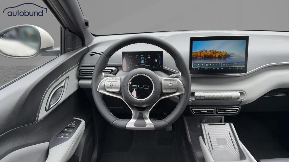 BYD DOLPHIN SURF