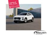 Audi Q5 2.0 e-hybrid quattro 270 kW - Audi Q5 Neuwagen in Duisburg