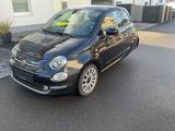 Fiat 500 1.2   Ellenator , Fahren ab 16    - Fiat 500 Ellenator Gebrauchtwagen