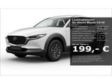 Mazda CX-30 Bestellfahrzeug Prime-Line 2WD 2,5 Skyacti - Mazda CX-30 mit Benzin-Antrieb: Prime Line