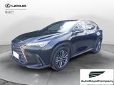 Lexus NX Hybrid Luxury 4WD IVA ESPOSTA - Lexus aus 2022: Nx