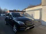 Mercedes-Benz ML 350 ML ML 350 CDI BlueTec TÜV NEU*2.HAND - Mercedes-Benz ML 350 in Duisburg