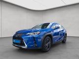 Lexus UX 250h Executive Line - Lexus UX aus 2022