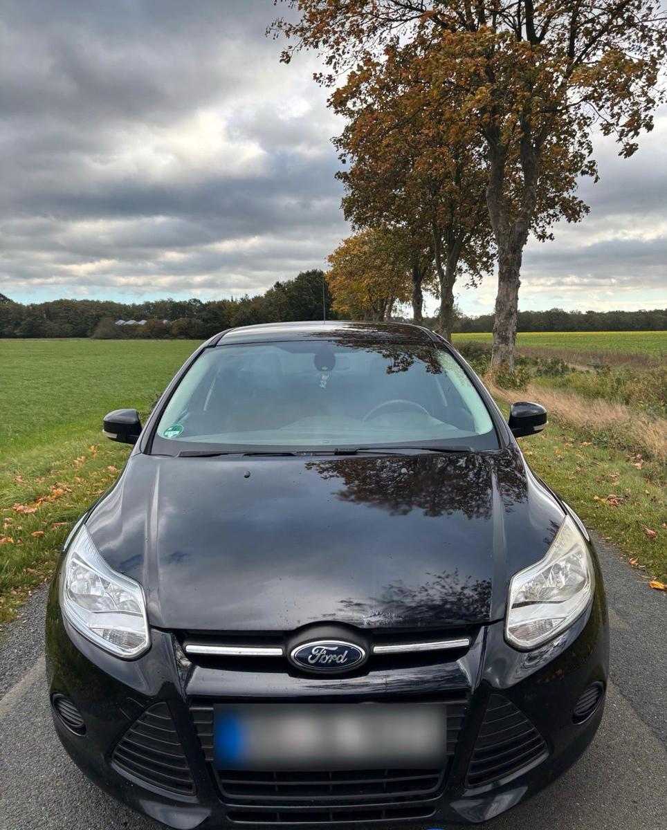 Ford Focus 2014 — photo 6