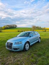 Audi A3 1.9 TDI "NEU TÜV" - Audi A3 aus 2008: 1.9