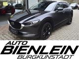 Mazda CX-30 2.5 140PS 6AG Homura Kamera Voll-LED Navi  - Mazda: V6