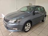 Skoda Fabia Style 1.0 TSI Apple CarPlay Shz. PDC Kessy - Skoda Fabia Gebrauchtwagen in Chemnitz