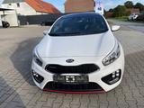 Kia ProCeed GT-Track - Kia Gebrauchtwagen in Osnabrück