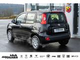 Fiat Panda MY26 Pandina ICON Hybrid 1.0 GSE TEMPOMAT  - Fiat Panda: Schwarz
