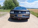Ford Mustang GT 5.0 V8 Fastback MagneRide M 55-Paket - Ford Mustang: Coupé, Fastback