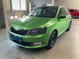 Skoda Fabia 1.2 TSI Joy SITZHZG+PDC+NAVI+DAB+AAC - Skoda Fabia: Grün
