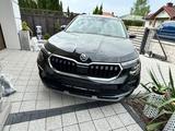 Skoda Kamiq Selection - Skoda Kamiq aus 2024