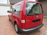 Volkswagen Caddy 1,2TSI 63kW Roncalli 5-Sitze Roncalli - Volkswagen Caddy mit Benzin-Antrieb: Kombi, 1.6