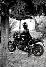 Honda CBF600 - HONDA 2004 CBF600