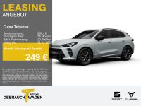 Cupra Terramar - Vorschau Bild 1