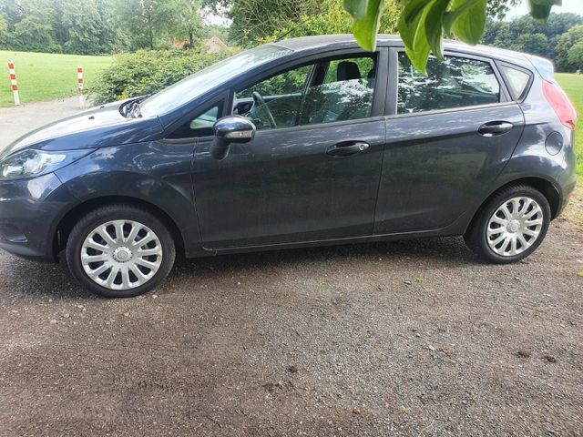 Ford Biete ford fiesta