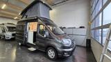 Westfalia Meridian.Limited.Aufstelldach.Lithium - Westfalia Aufstelldach