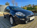 Fiat Punto Young/Navi/PDC/8FachBereift - Fiat Punto Gebrauchtwagen in Stuttgart