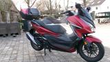 Honda Forza 350 NSS350A *1 Hd.* - Honda Forza 350 (NSS350A)