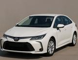Toyota Corolla Hybrid Comfort 140 HP MY2025 100x units - Toyota Corolla: 14