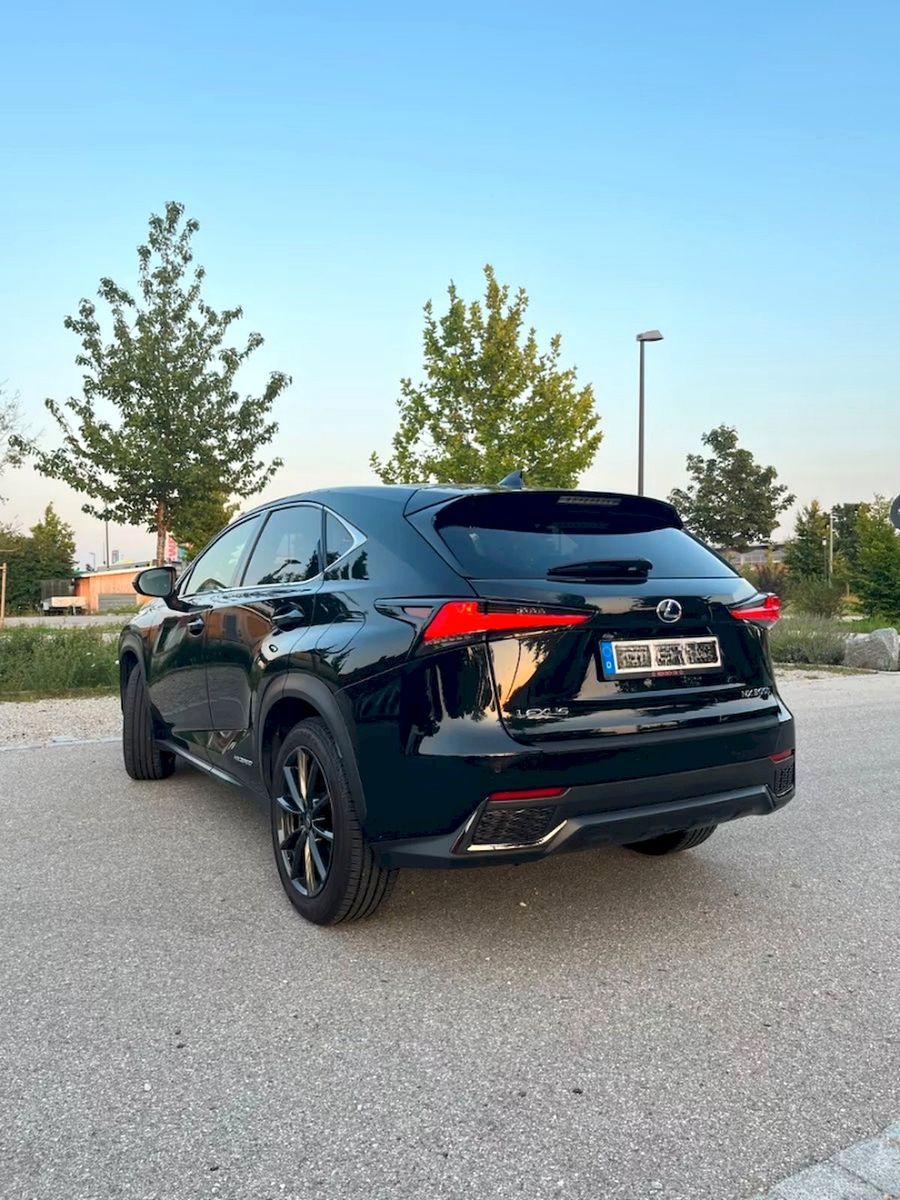 LEXUS NX 300