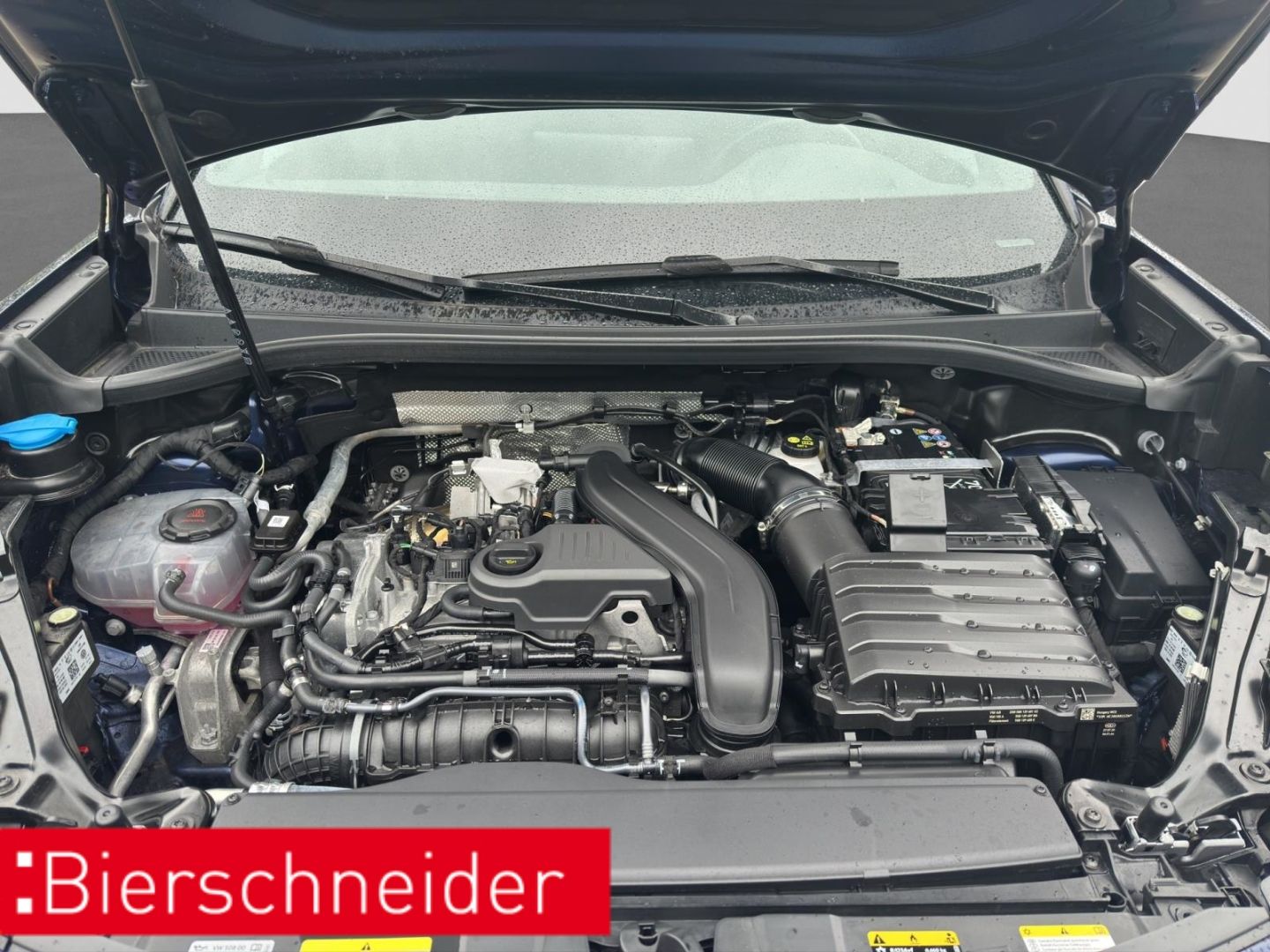 Cupra Terramar - Bild 28